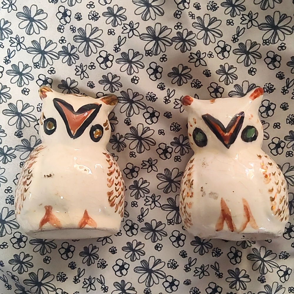 Hand Crafted Porcelain Owl Salt and Pepper Shakers